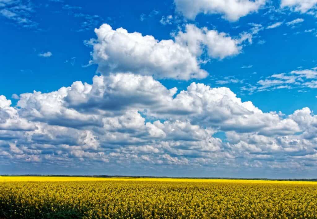 country skyline