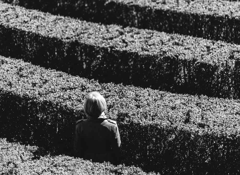 lost in a maze